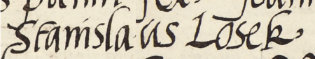 Z księgi radzieckiej Kazimierza obejmującej lata 1521–1533: fragment wpisu dokumentującego
wybór rady urzędującej na rok 1533, ze Stanisławem Losskiem w składzie – zbliżenie zapisu imienia
(Archiwum Narodowe w Krakowie, sygn. K 9, s. 344)