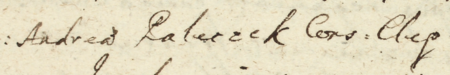 Z księgi wójtowskiej Kleparza obejmującej lata 1649–1653: fragment wpisu z 1652 roku
dokumentującego spór między wdową po rajcy kleparskim Andrzeju Paleczku a ławnikiem kleparskim
Andrzejem Brzygłosem o zobowiązanie zaciągnięte za życia rajcy Paleczka i ekscesy zaszłe przy ściąganiu tego długu –
zbliżenie zapisu imienia i urzędu (Archiwum Narodowe w Krakowie, sygn. KL 11, s. 295)