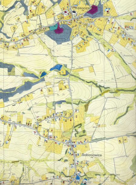 Z dokumentacji Biura Rozwoju Krakowa dotyczący wsi Soboniowice fragment sporządzonej w 1968 roku
Inwentaryzacji bezpośredniej użytkowania terenu i budynków dla Gromady Rajsko
(Archiwum Narodowe w Krakowie, sygn. 29/1405/2330)