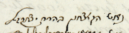 (Archiwum Narodowe w Krakowie, sygn. Jud. Cas. 8, s. 480)