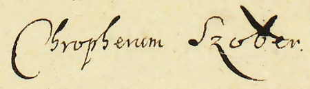 Z księgi radzieckiej obejmującej lata 1630–1637 strony 600–601 z wykazem rajców urzędujących
nominowanych na rok 1633, wśród których znajduje się Krzysztof Szober – oraz powiększenie zapisu imienia
(Archiwum Państwowe w Krakowie, sygn. rkps 460, s. 600–601)