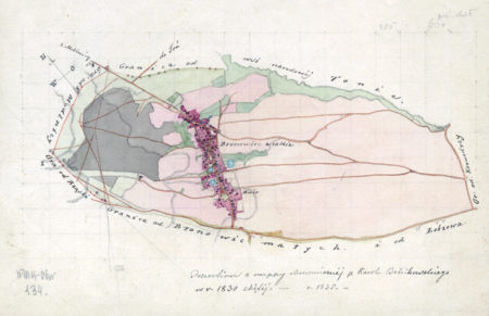 Z Archiwum Wolnego Miasta Krakowa mapa wsi Bronowice Wielkie, w oryginale wyrysowana w 1830 roku przez
Karola Bełcikowskiego, geometrę rządowego, tu w kopii wykonanej przez Teofila Żebrawskiego w 1835 roku
(Archiwum Narodowe w Krakowie, sygn. 29/200/134)