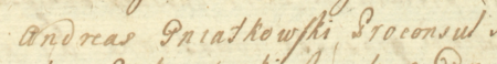 Z księgi radzieckiej Kazimierza obejmującej lata 1720–1742: dokonany w 1726 roku wpis otwierający kolejne posiedzenie
rajców urzędujących, w tym czasie pod przewodnictwem burmistrza Andrzeja Gniatkowskiego – zbliżenie zapisu imienia
i funkcji (Archiwum Narodowe w Krakowie, sygn. K 47, s. 85)