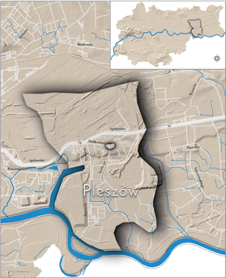 Orientacyjna lokalizacja dawnej wsi Pleszów w obecnych granicach Krakowa – na planie miasta oznaczono jej położenie w kształcie
wyznaczonym granicami jednostki katastralnej, jaką stanowiła, ze wskazaniem najstarszego, historycznego centrum Pleszowa
w rejonie dzisiejszych ulic Nadbrzezie, Suchy Jar, Cementowej i Jezierskiego