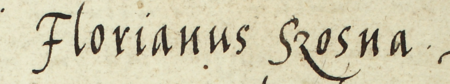 Z księgi radzieckiej Kleparza obejmującej lata 1564–1566: fragment wpisu z 1564 roku dokumentującego
wybór rady urzędującej, z rajcą-burmistrzem Florianem Sosną w składzie – zbliżenie zapisu imienia
(Archiwum Narodowe w Krakowie, sygn. KL 26, s. 1)