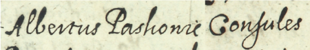 Z księgi wójtowskiej Kleparza obejmującej lata 1611–1617: fragment wpisu z 1615 roku dotyczącego sprawy z udziałem
Wojciecha (Albertusa) Paskowicza, rajcy kleparskiego, występującego tu w roli prowizora szpitala św. Floriana w Kleparzu –
zbliżenie zapisu imienia i urzędu (Archiwum Narodowe w Krakowie, sygn. KL 10, s. 629)