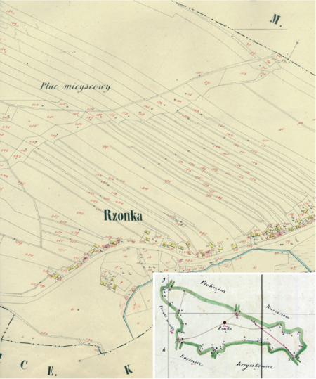 Centralny fragment Rżąki na mapie katastralnej sporządzonej dla gminy katastralnej Rżąka w 1849 roku oraz
pochodzący z 1845 roku plan sytuacyjny z wyrysowanymi granicami gminy Rżąka i lokalizacją gmin sąsiadujących
(Archiwum Narodowe w Krakowie, sygn. K. Krak. 555 II; sygn. K. Krak. op. 135, s. 1)