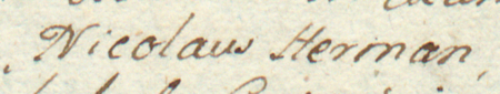 Z kopiarza przywilejów: fragment wpisu przywileju dotyczącego jeziora położonego we wsi Zabłocie,
którego udzielili rajcowie kazimierscy, z Mikołajem Hermanem w składzie – zbliżenie zapisu imienia
(Biblioteka Jagiellońska, sygn. rkps 136, s. 14)