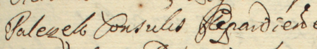 Z akt sądowych wielkorządcy krakowskiego obejmujących lata 1665–1682: fragment wpisu z roku 1671
dotyczącego roszczeń Jerzego Hirszmana z Krakowa do majątku spadkowego po zmarłym Andrzeju Paleczku, rajcy kazimierskim
– zbliżenie zapisu imienia i urzędu (Archiwum Narodowe w Krakowie, sygn. Teut. 72, s. 419)