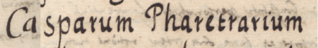 Z Liber inscriptionum… klasztoru oo. Augustianów w Kazimierzu: fragment dokonanego w roku 1681 wpisu
przywołującego wydany w 1438 roku dokument, w którym wójt i ławnicy kazimierscy stwierdzili, że Mikołaj Czipser
(nr 118) swój dom położony obok domu Jana rękawicznika i Kaspra kołczannika w Stradomiu odstępuje Wincentemu kołczannikowi
(nr 122) – zbliżenie zapisu imienia (Biblioteka Naukowa PAU/PAN, sygn. rkps 1676, s. 308v)