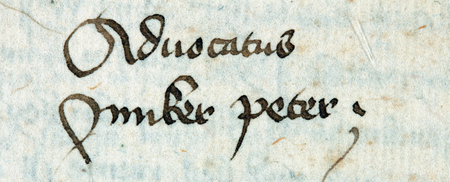 (Archiwum Narodowe w Krakowie, sygn. rkps 429, s. 175)